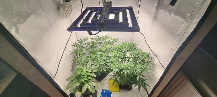 Growreport Bild 20