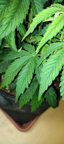 IMG_20221110_205115
