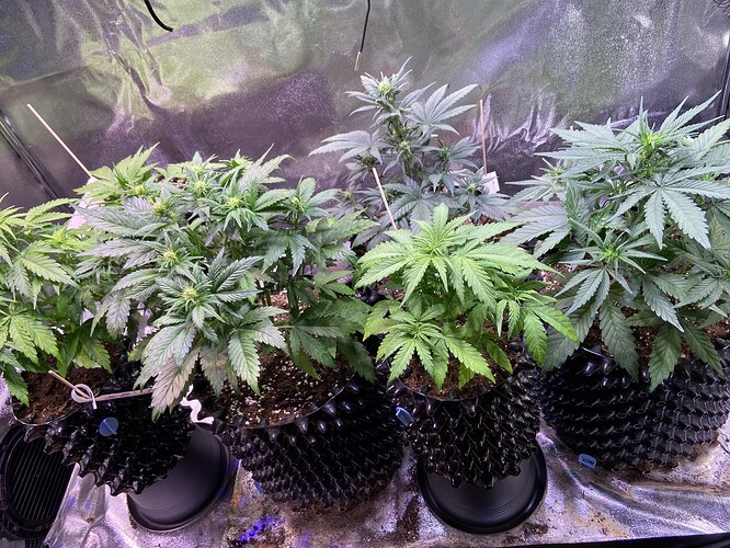Growreport Bild 6