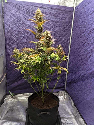 Growreport Bild 14