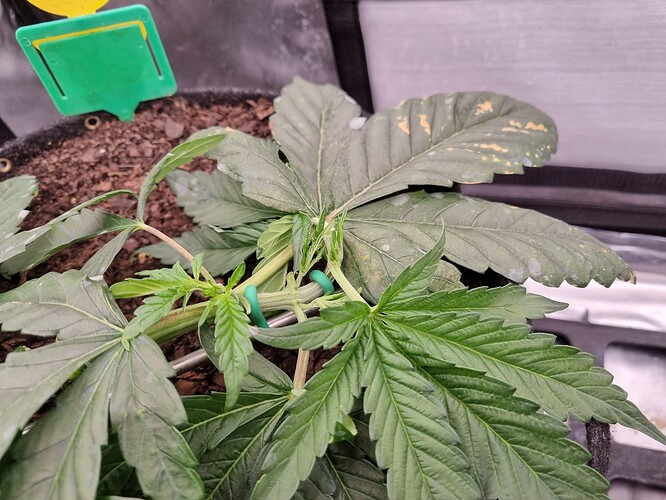 Growreport Bild 15