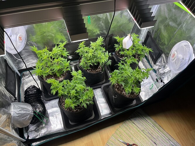 Growreport Bild 6