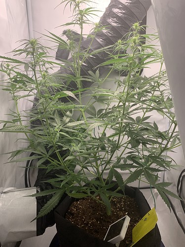 Growreport Bild 9