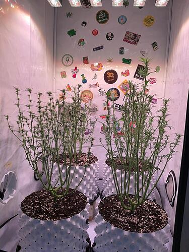 Growreport Bild 7