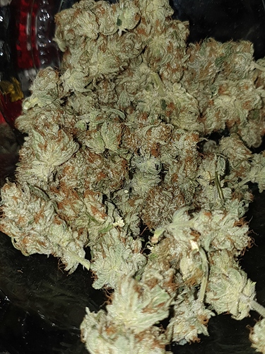 Growreport Bild 16