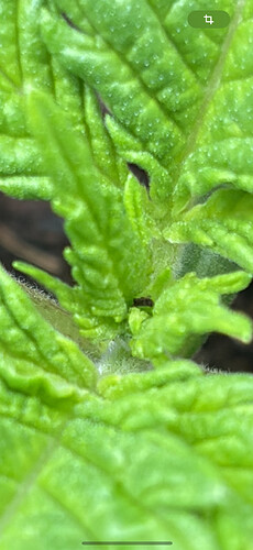 Growreport Bild 19