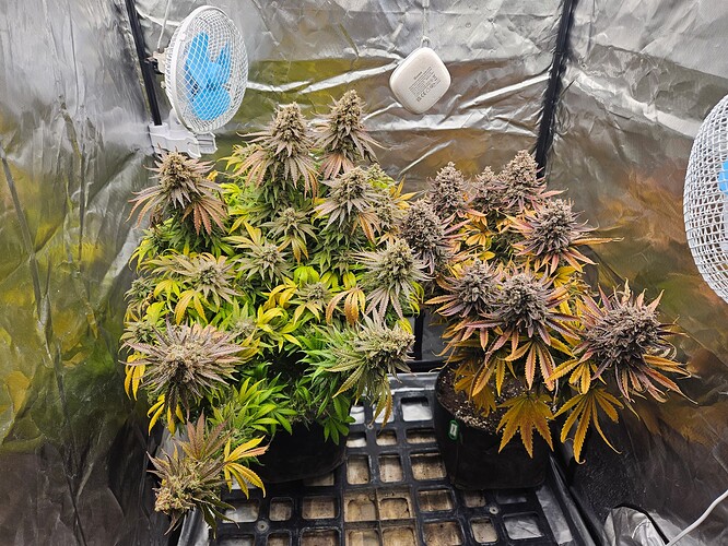 Growreport Bild 5