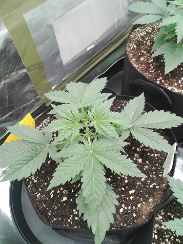 Growreport Bild 8