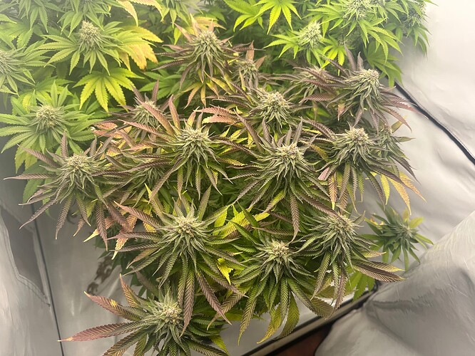 Growreport Bild 14