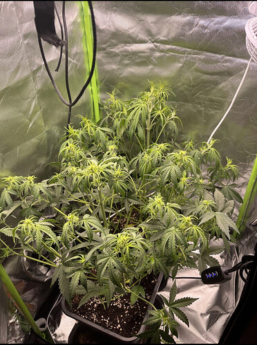 Growreport Bild 11
