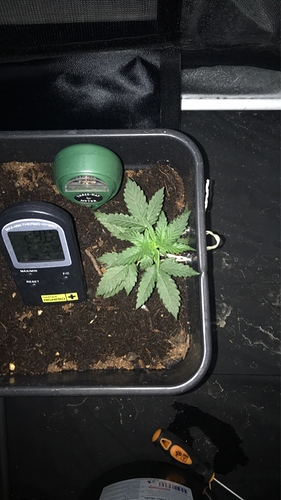 Growreport Bild 9