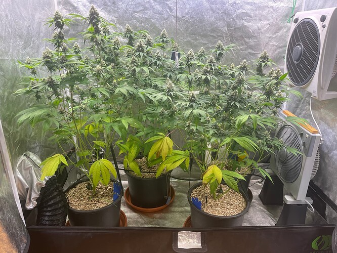 Growreport Bild 2