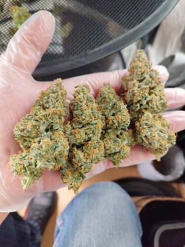 Growreport Bild 11