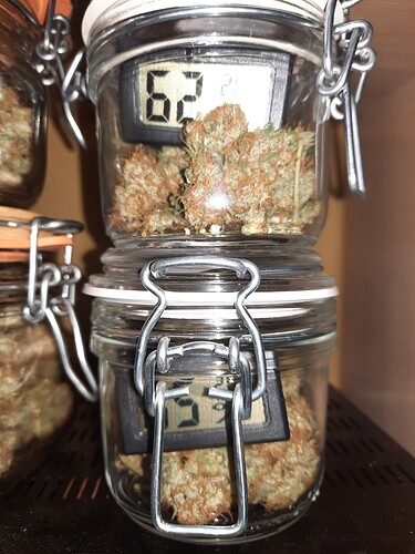 Growreport Bild 66
