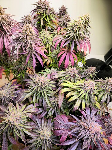 Growreport Bild 21