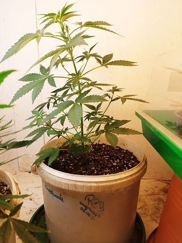 Growreport Bild 10