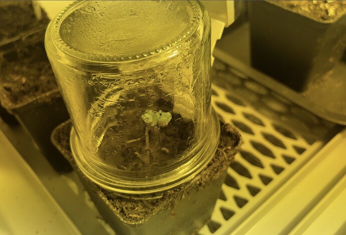 Growreport Bild 8