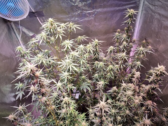 Growreport Bild 25
