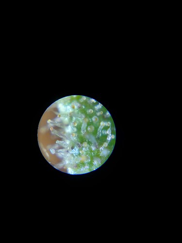 Growreport Bild 21