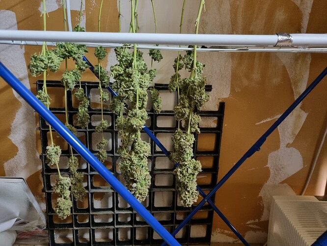Growreport Bild 25