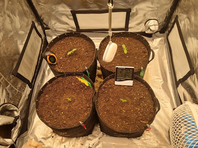 Growreport Bild 8