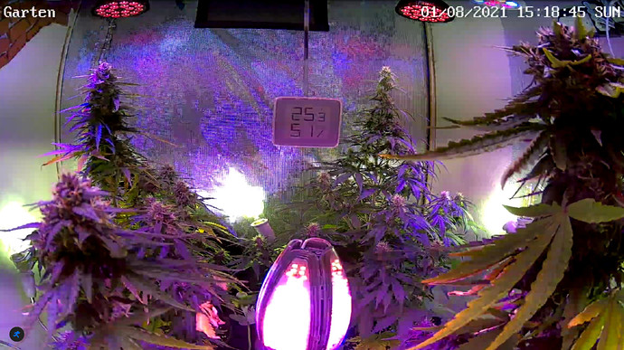 Growreport Bild 18