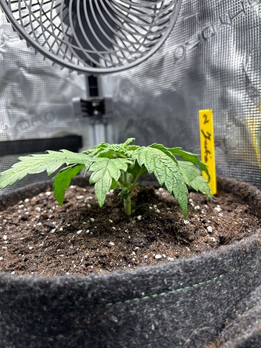Growreport Bild 144