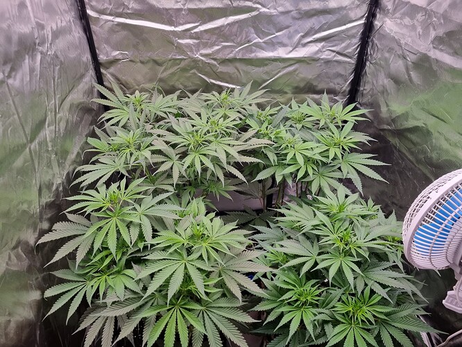 Growreport Bild 22