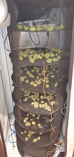 Growreport Bild 37