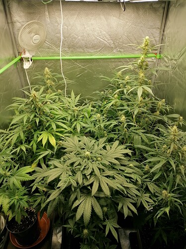 Growreport Bild 10