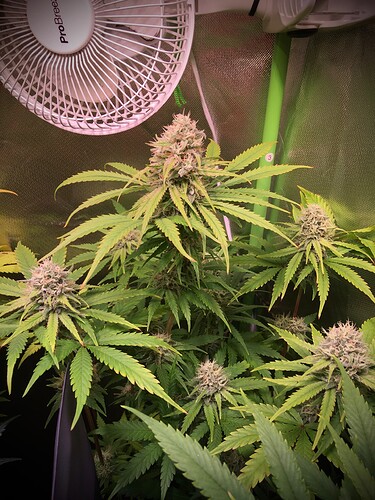 Growreport Bild 10