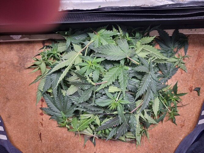 Growreport Bild 8