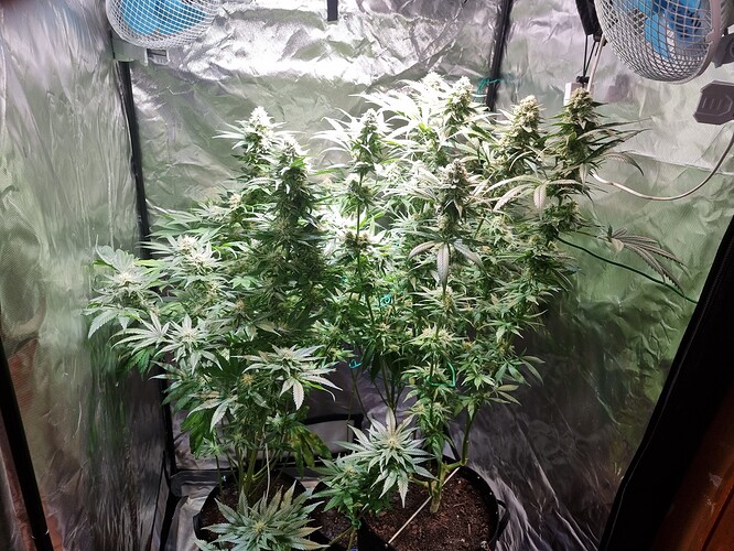 Growreport Bild 21