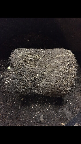 Growreport Bild 10