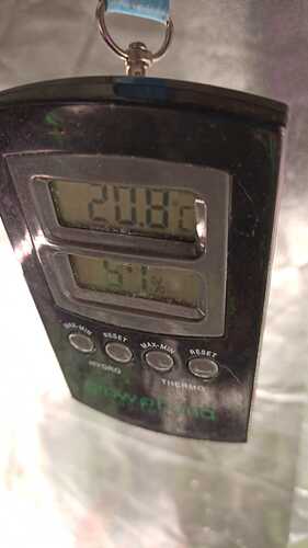 IMG-20231005-WA0011