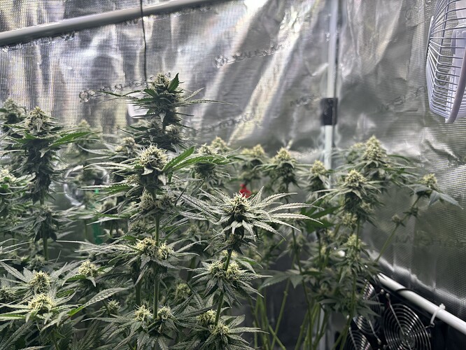 Growreport Bild 8