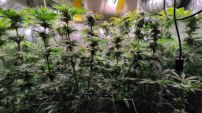 Growreport Bild 26