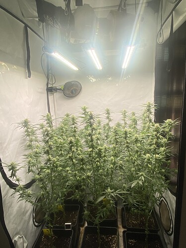 Growreport Bild 6