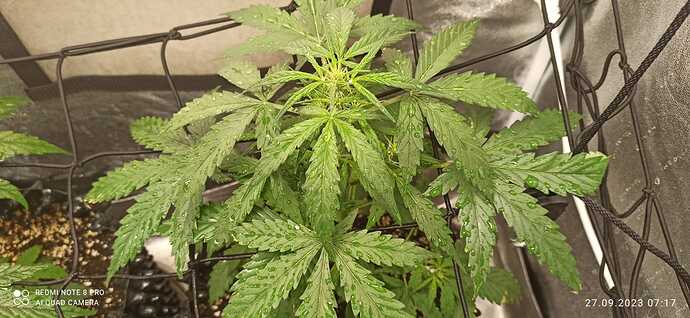 IMG-20230927-WA0001