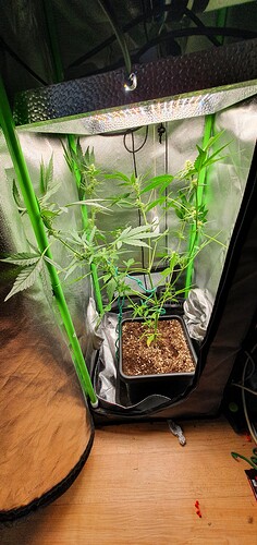 Growreport Bild 12