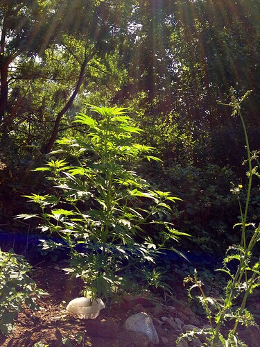 070_SiebterSiebter_06