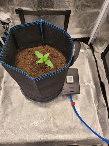 Growreport Bild 2