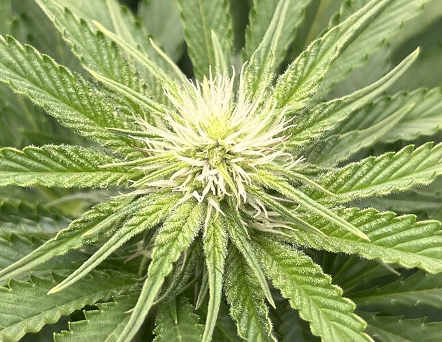 Growreport Bild 15