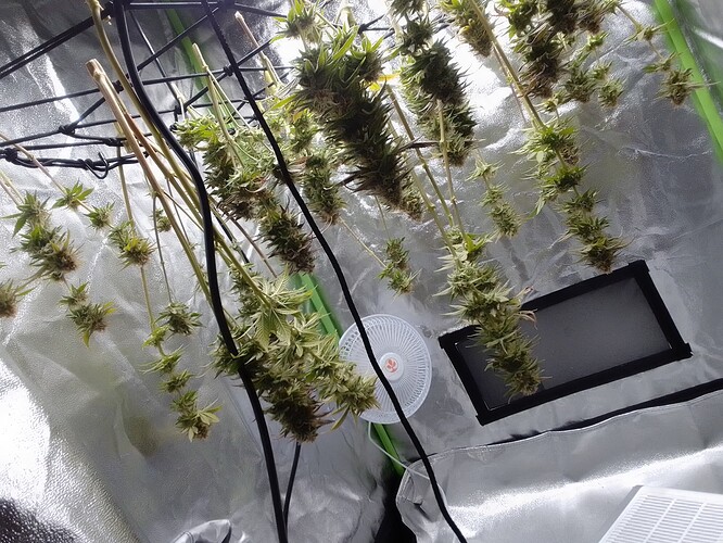 Growreport Bild 1