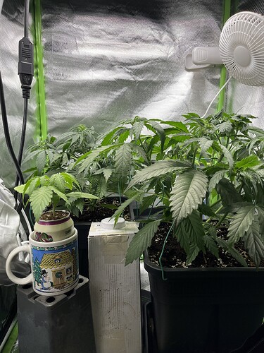 Growreport Bild 22