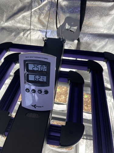 Growreport Bild 34
