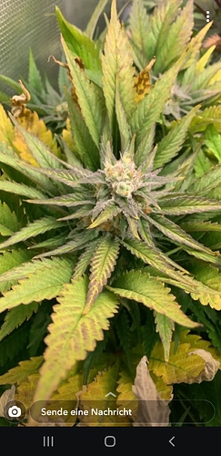 Screenshot_20200607-145656_Snapchat