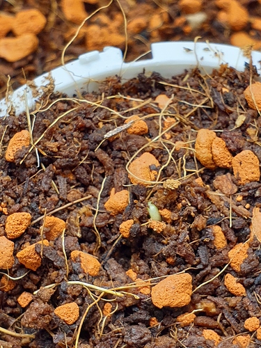 Growreport Bild 9