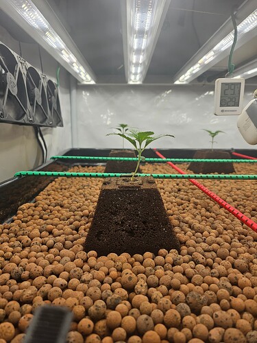 Growreport Bild 28