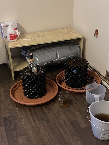 Growreport Bild 2